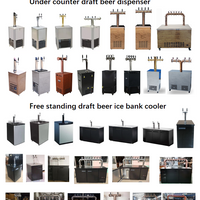 12-Tap Wall-Mounted Draft Beer Cooler with Rinsers image preview
