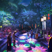 Interactive Indoor and Outdoor Laser Floor &amp; Wall Projector image preview