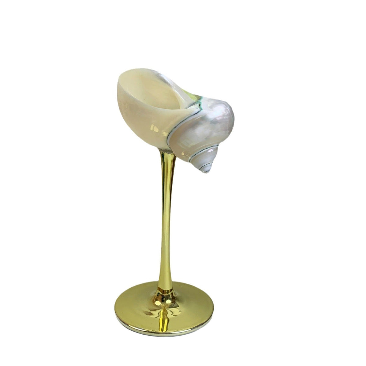 Handmade Shell Cocktail Glasses, style Mediterranean