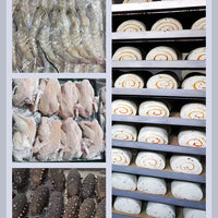 Commercial Blast Freezer — Stainless Steel Plate Freezer for Gelato &amp; Ice Cream image preview