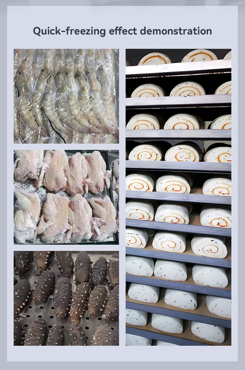 Commercial Blast Freezer — Stainless Steel Plate Freezer for Gelato & Ice Cream