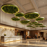 Biophilic LED Ring Chandelier with Preserved Moss