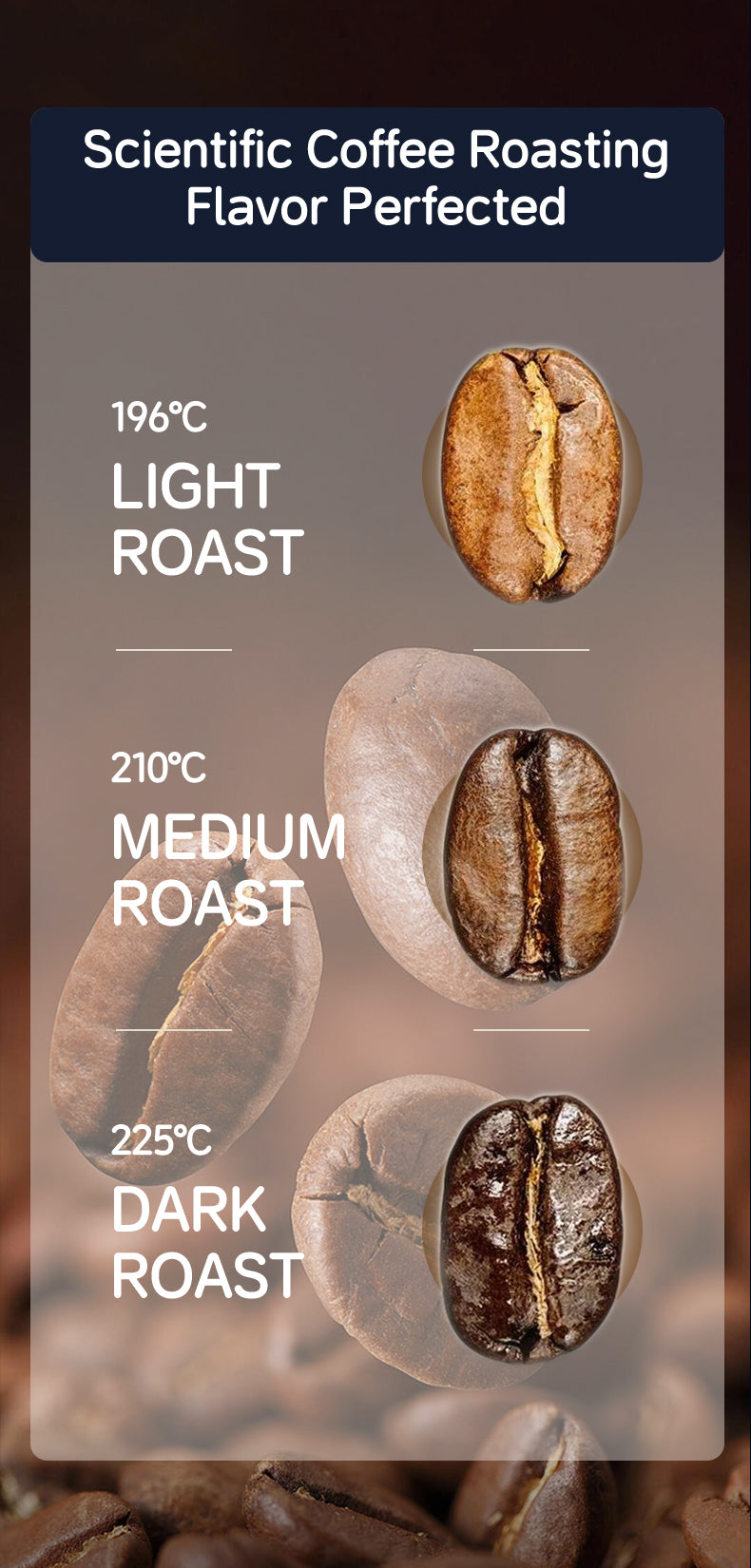 Commercial Electric Coffee Roaster — 1 kg, Touchscreen Control
