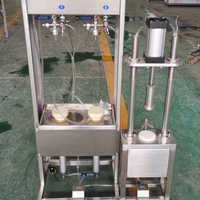 Manual Bottle Filling &amp; Capping Machine for Craft Breweries image preview