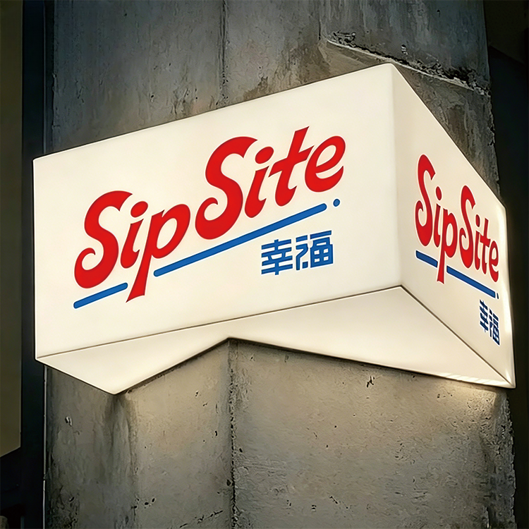Custom LED Illuminated Sign — Acrylic & Metal Light Box