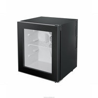 48L Thermoelectric Minibar Fridge image preview