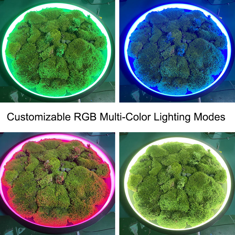 Biophilic LED Ring Chandelier with Preserved Moss