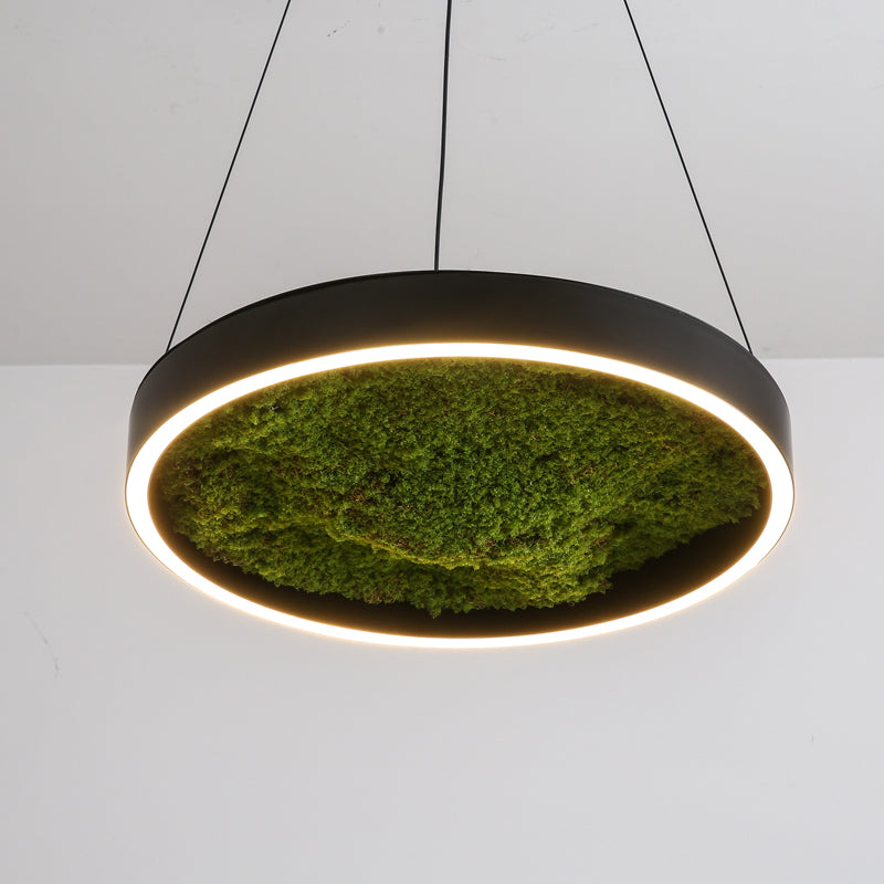 Biophilic LED Ring Chandelier with Preserved Moss