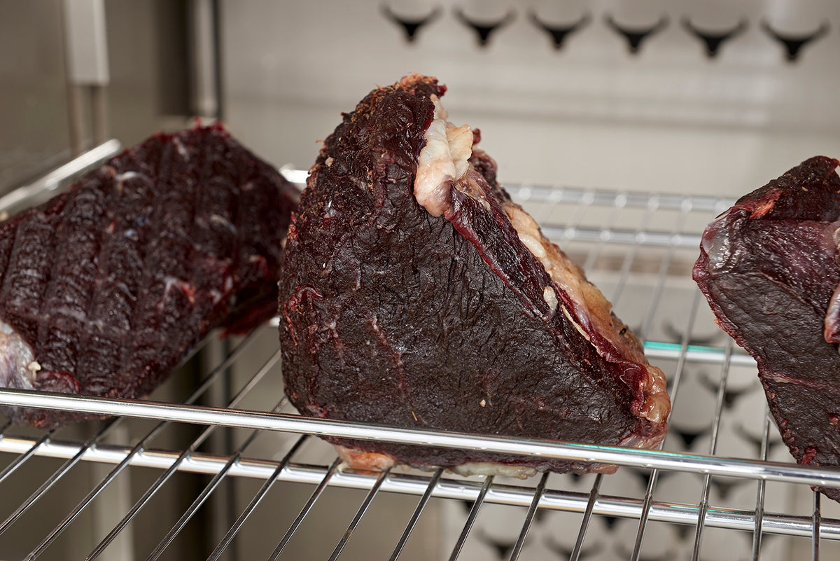 Commercial Dry Aging Refrigerator — Glass Door, Stainless Steel, temperature range 1–22°C