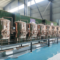 Bright Beer Tank — Jacketed 304 Stainless Storage Vessel image preview