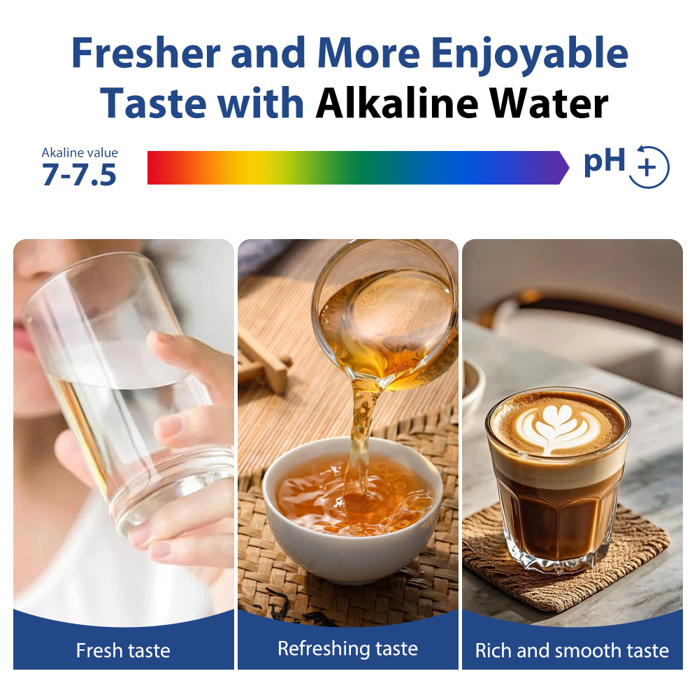 Countertop Reverse Osmosis Water Purifier with UV Sterilization and Instant Hot Water
