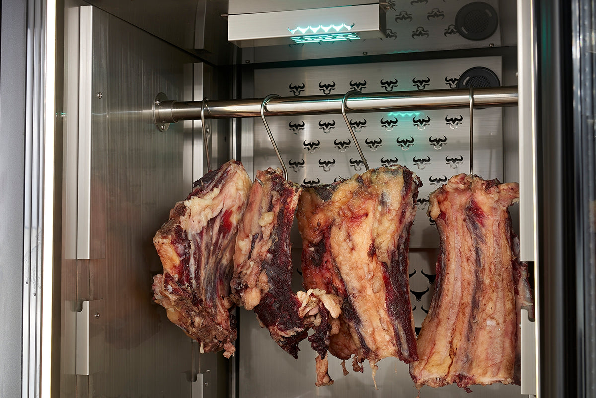 Commercial Dry Aging Refrigerator — Glass Door, Stainless Steel, 220–240V / 110–240V