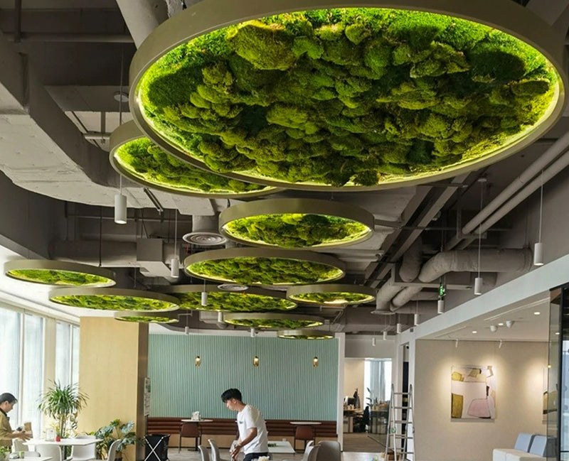 Biophilic LED Ring Chandelier with Preserved Moss