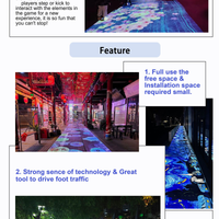 Interactive Indoor and Outdoor Laser Floor &amp; Wall Projector image preview