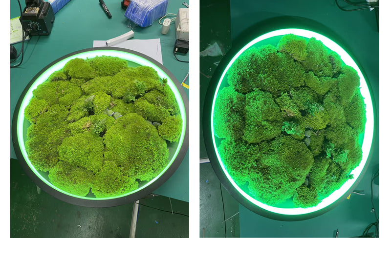 Biophilic LED Ring Chandelier with Preserved Moss