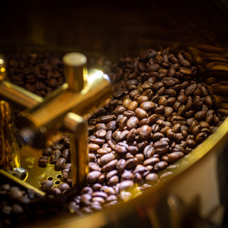 Digital Coffee Roaster