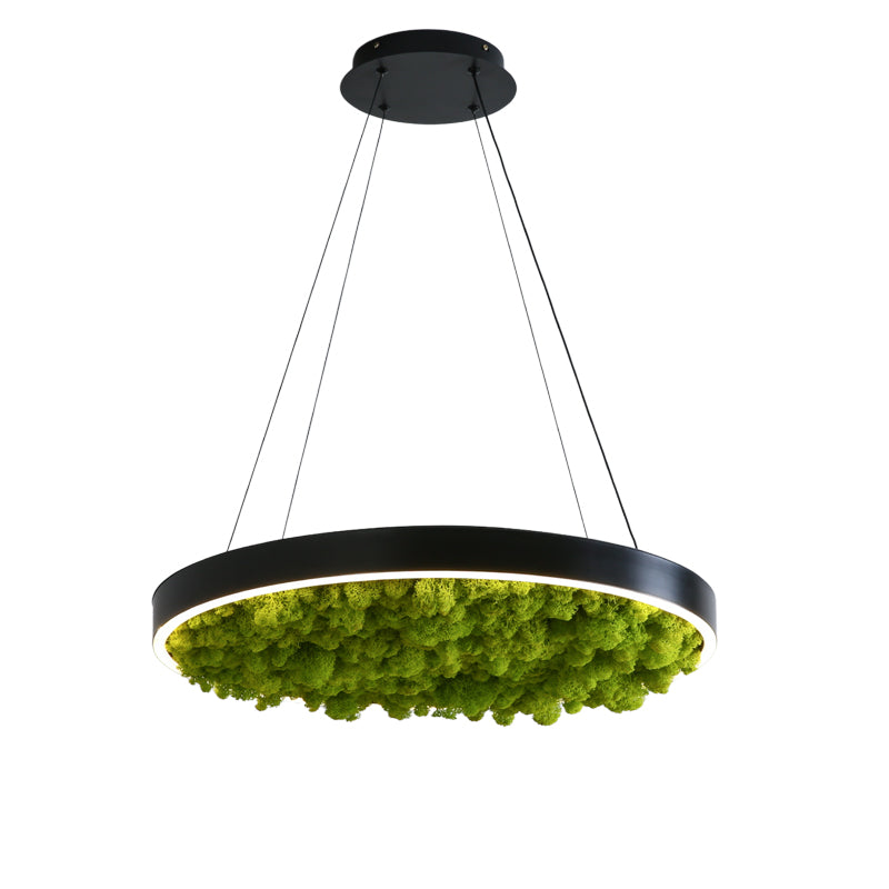 Biophilic LED Ring Chandelier with Preserved Moss