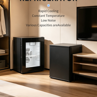 48L Thermoelectric Minibar Fridge image preview