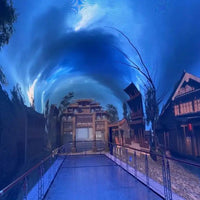 Interactive Indoor and Outdoor Laser Floor &amp; Wall Projector image preview