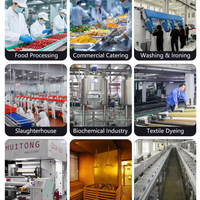 Commercial Electric Steam Generator — 12 kW, 17 kg/h image preview