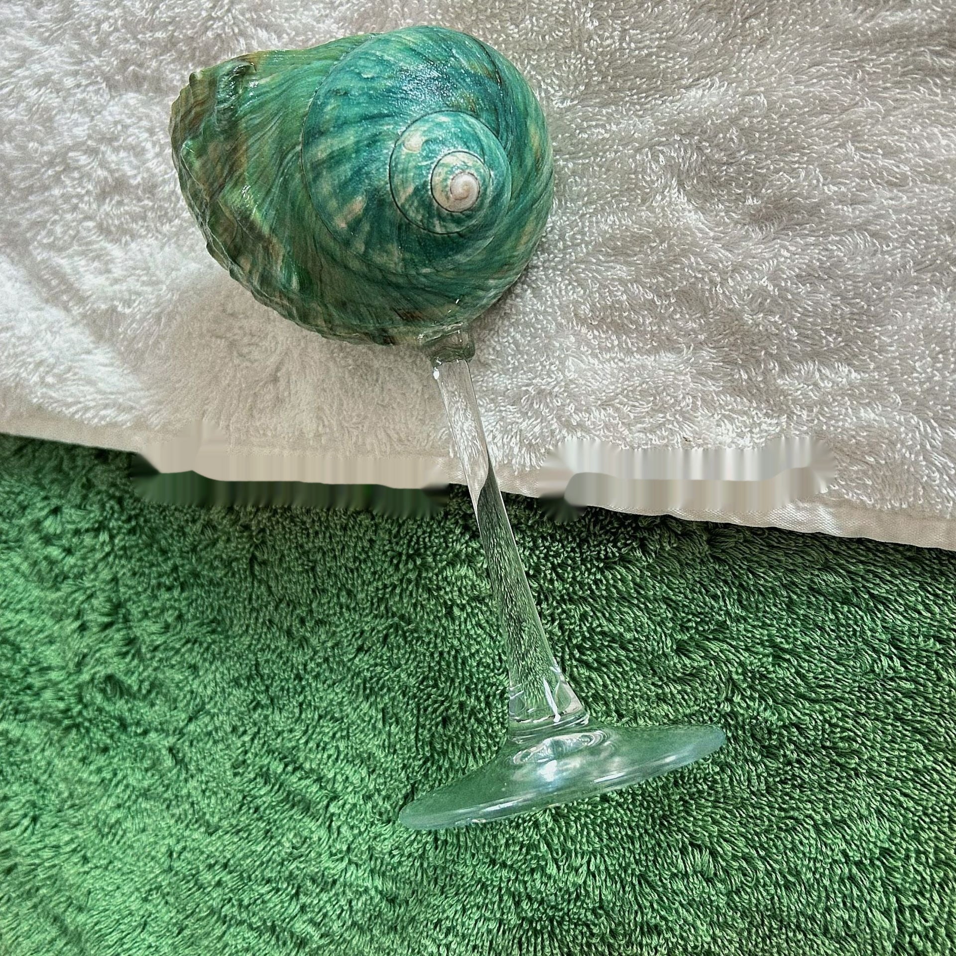 Unique Handmade Glasses from Real Shells