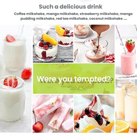 Commercial Milkshake &amp; Milk Tea Machine — Stainless Steel image preview