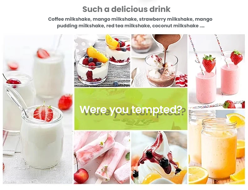 Commercial Milkshake & Milk Tea Machine — Stainless Steel