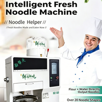 Commercial Automatic Fresh Noodle Machine — Mixer &amp; Cutter image preview