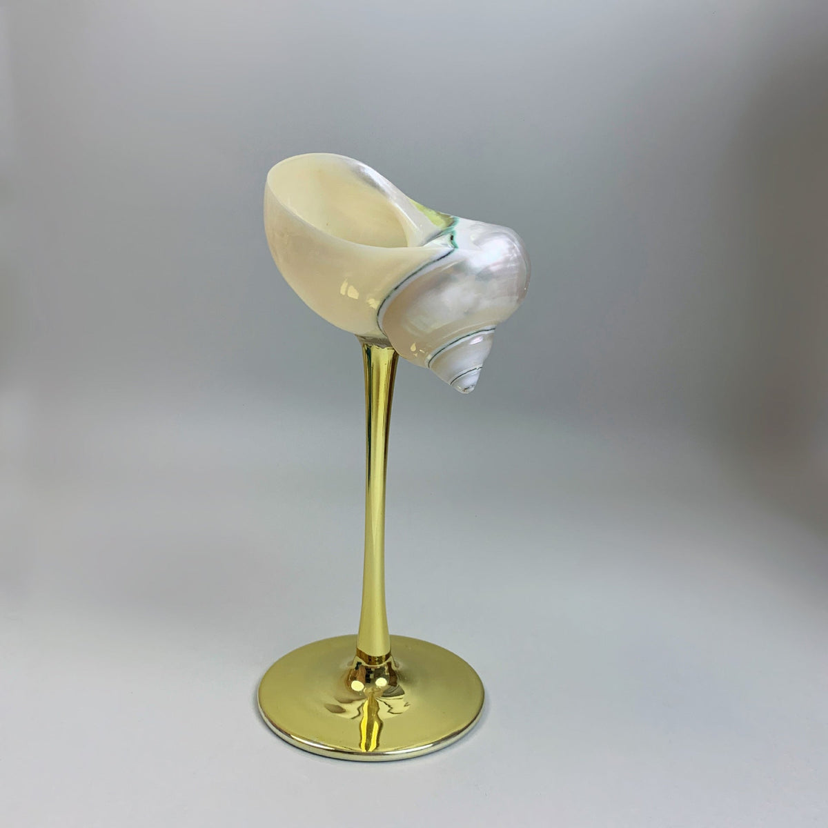 Handmade Shell Cocktail Glasses, style Mediterranean