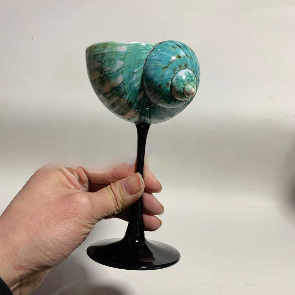 Handmade Shell Cocktail Glasses
