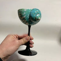 Handmade Shell Cocktail Glasses image preview