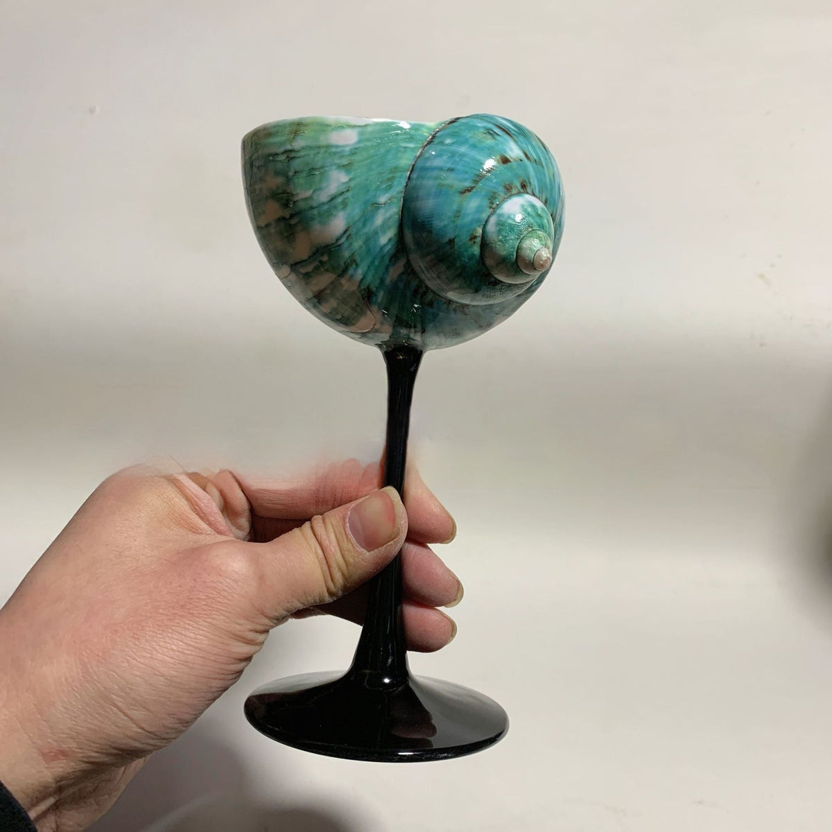 Handmade Shell Cocktail Glasses, style Mediterranean