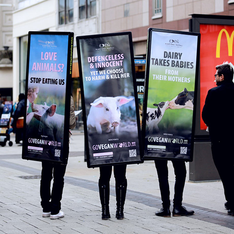 Portable Backpack LED Billboard — Double-Sided Light Box