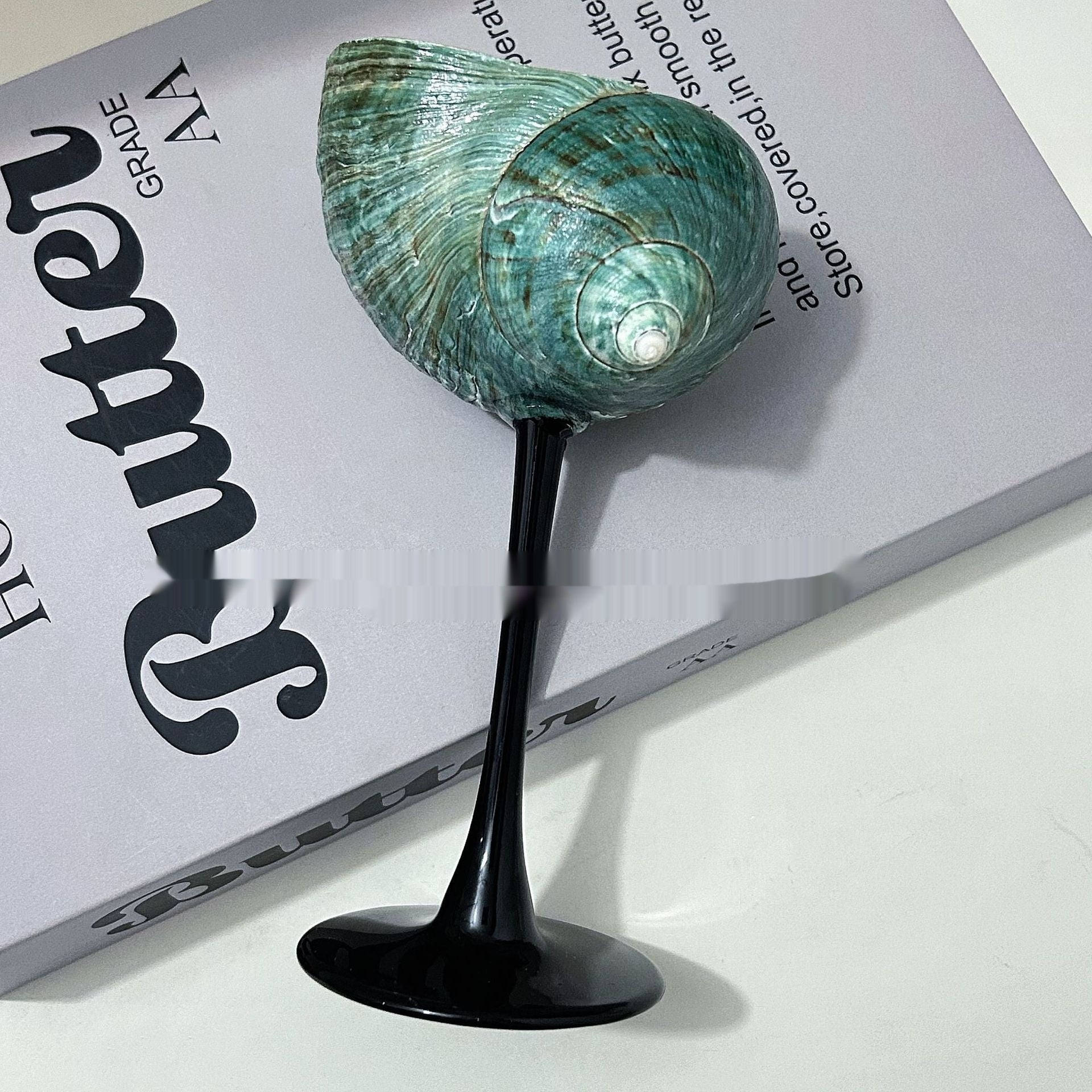 Unique Handmade Glasses from Real Shells