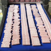 Frozen Meat Roll Cutting Machine — Automatic Beef &amp; Mutton Slicer image preview