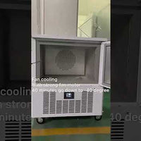 Commercial Blast Freezer for Restaurants (3, 5 &amp; 10 Trays) video preview