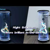 3D Hologram Fan Projector video preview