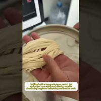 Commercial Automatic Fresh Noodle Machine — Stainless Steel video preview