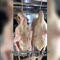 Commercial Duck &amp; Goose Drying and Aging Cabinet — 2-Door Air-Cooled video preview