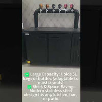 Commercial Draft Beer Dispenser — Air-Cooled Kegerator with Tap video preview