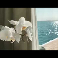 Vista previa del vídeo de Aluminum Pontoon Houseboat — 11.6 m, 3-Tube