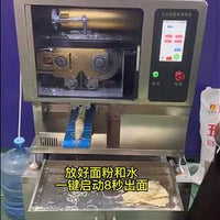 Commercial Automatic Fresh Noodle Machine — Mixer &amp; Cutter video preview