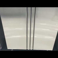 Commercial Double-Door Industrial Refrigerator video preview