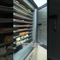 Commercial Blast Freezer for Restaurants (3, 5 &amp; 10 Trays) video preview