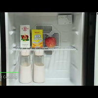 48L Thermoelectric Minibar Fridge video preview