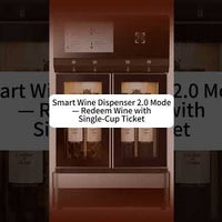 Commercial Wine Dispenser — 4-Tap with Argon Preservation video preview