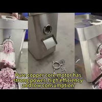 Commercial Meat Grinder 500 kg/h, 2500W video preview