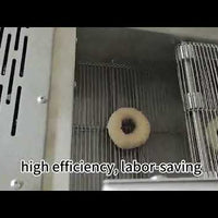 Automatic Bagel Boiling &amp; Frying Machine — Electric video preview