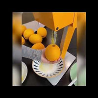 In-Fruit Blender Juicer — Blends Juice Inside Whole Fruit video preview