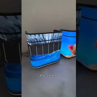 Mobile LED Counter Screen — Portable Reception & DJ Booth Display video preview